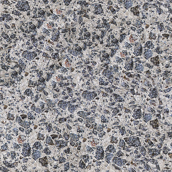 Oyster 0010
